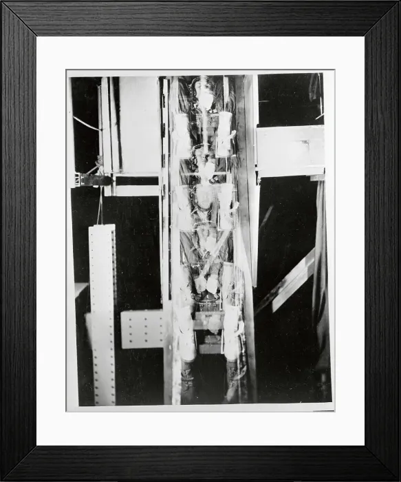 Framed Print : Volunteers Riding in Downward Ejection Tower Framed Print : Volunteers Riding in Downward Ejection Tower