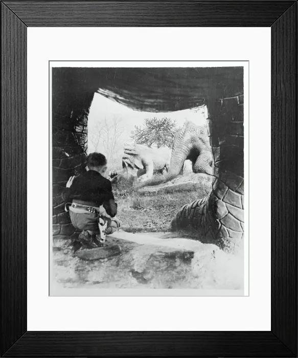 Framed Print : John Burwood Looking at Dinosaurs Framed Print : John Burwood Looking at Dinosaurs