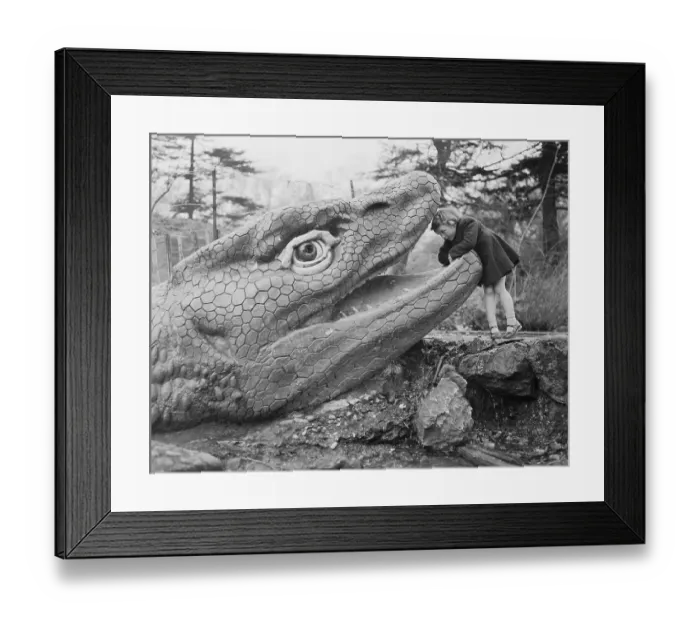 Framed Print : Valerie Burwood Looking Inside the Mouth of a Dinosaur Framed Print : Valerie Burwood Looking Inside the Mouth of a Dinosaur