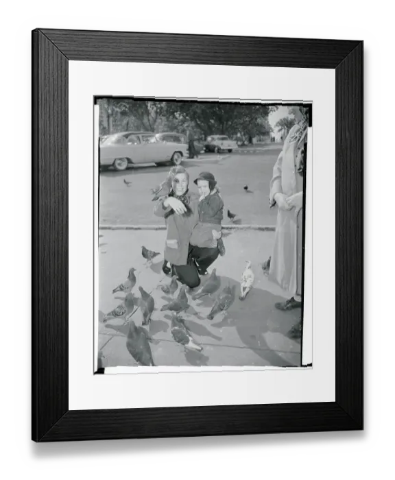 Framed Print : Mother and Son Feeding Pigeons Framed Print : Mother and Son Feeding Pigeons