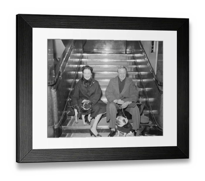 Framed Print : Duke and Dutchess of Wondsor woth Dogs Framed Print : Duke and Dutchess of Wondsor woth Dogs