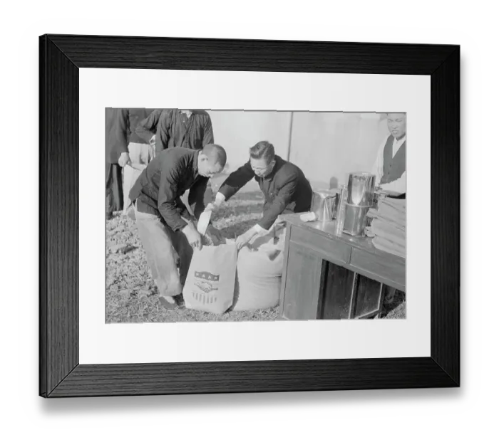 Framed Print : People Shoveling Rice Framed Print : People Shoveling Rice