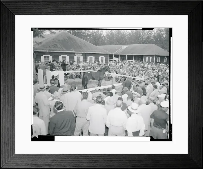 Framed Print : View of Horse Auction Framed Print : View of Horse Auction