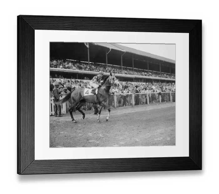 Framed Print : Portrait of Kentucky Derby Horse How Blue Framed Print : Portrait of Kentucky Derby Horse How Blue