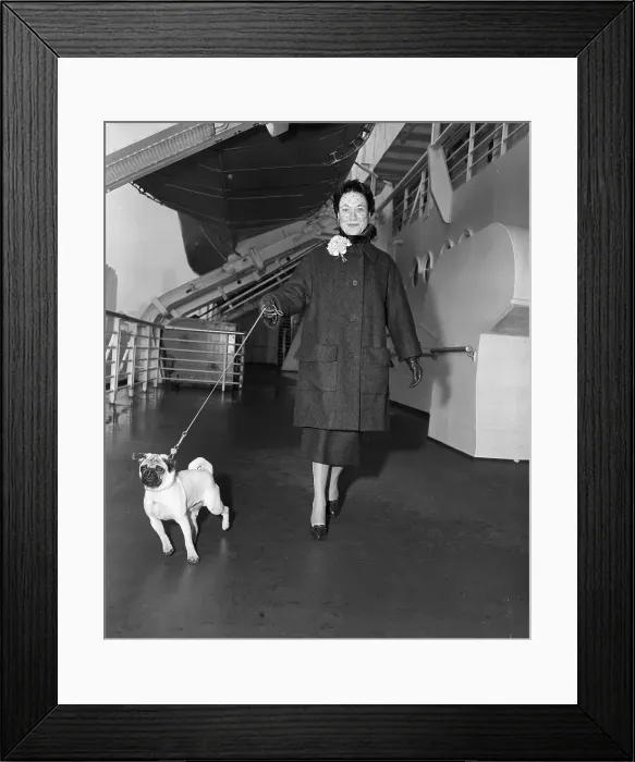 Framed Print : Portrait of Duchess of Windsor Walking Dog