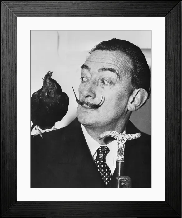 Framed Print : Salvador Dali with Rooster on Shoulder Framed Print : Salvador Dali with Rooster on Shoulder