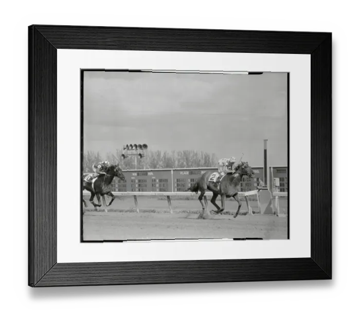 Framed Print : Horse Racers Coming to Finish Line Framed Print : Horse Racers Coming to Finish Line