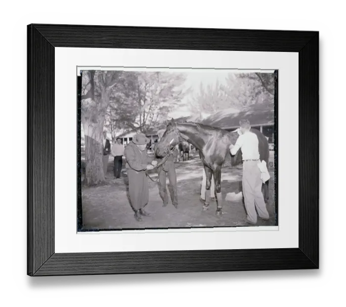 Framed Print : Sunny Fitzsimmons Holding His Horse's Reins Framed Print : Sunny Fitzsimmons Holding His Horse's Reins