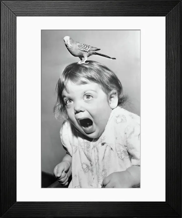 Framed Print : Colleen Watson Yelling With a Bird on Her Head Framed Print : Colleen Watson Yelling With a Bird on Her Head