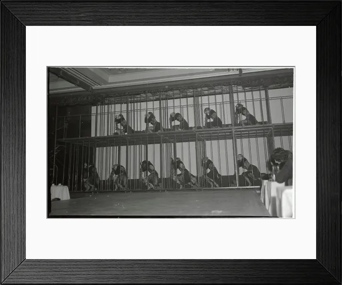 Framed Print : Girls Dancing in Prison Scene for Nightclub Framed Print : Girls Dancing in Prison Scene for Nightclub