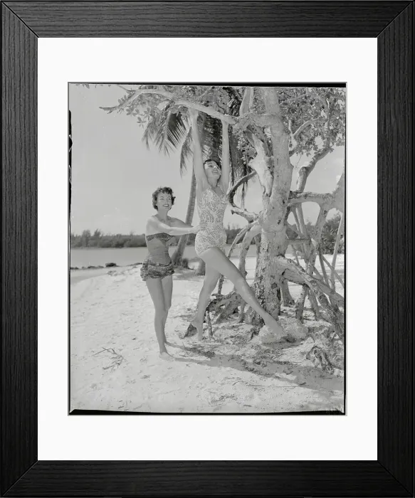 Framed Print : Young Women Enjoying Acrobatics by Using Tree Framed Print : Young Women Enjoying Acrobatics by Using Tree
