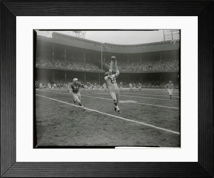 Framed Print : Bob Schnelker Reaching for Football Catch During Game Framed Print : Bob Schnelker Reaching for Football Catch During Game