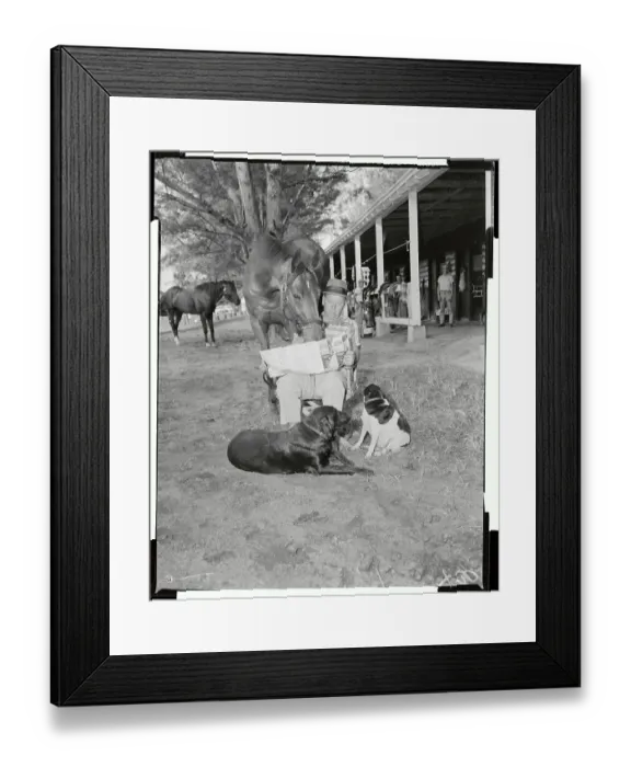 Framed Print : Bill Winfrey Reading with Social Outcast Looking Framed Print : Bill Winfrey Reading with Social Outcast Looking