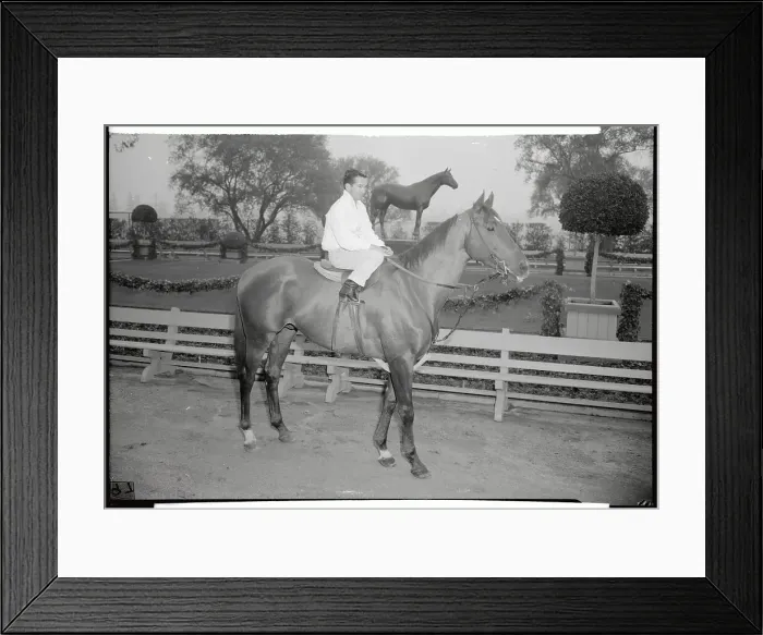 Framed Print : Willie Shoemaker on Swaps