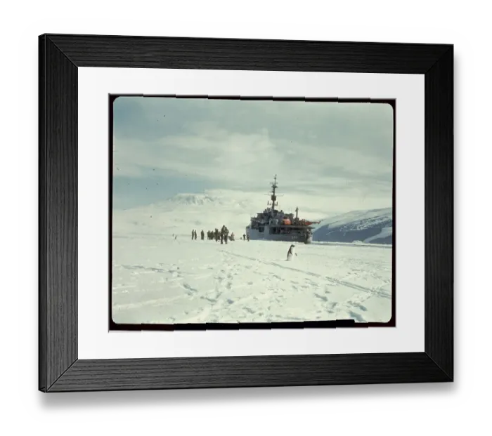 Framed Print : Richard E. Byrd and Accomplices Walking on Snow Framed Print : Richard E. Byrd and Accomplices Walking on Snow