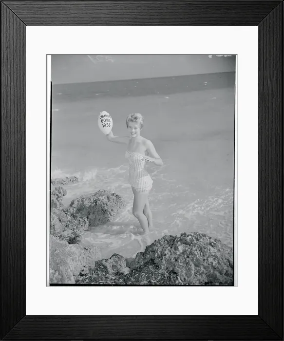 Framed Print : Orange Bowl Queen Lynn Brown Framed Print : Orange Bowl Queen Lynn Brown