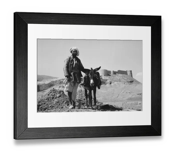 Framed Print : Farmer Posing with His Donkey Framed Print : Farmer Posing with His Donkey