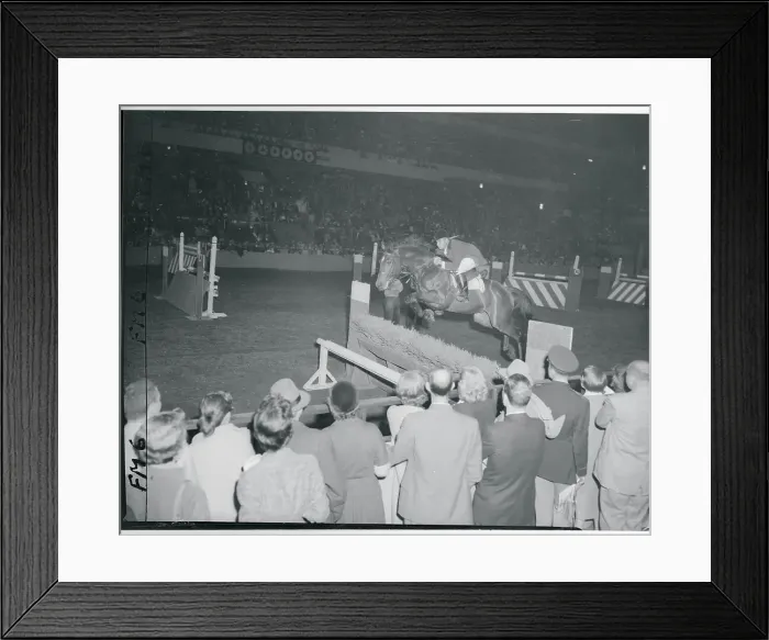 Framed Print : Douglas Hood Clearing the Hurdle Framed Print : Douglas Hood Clearing the Hurdle