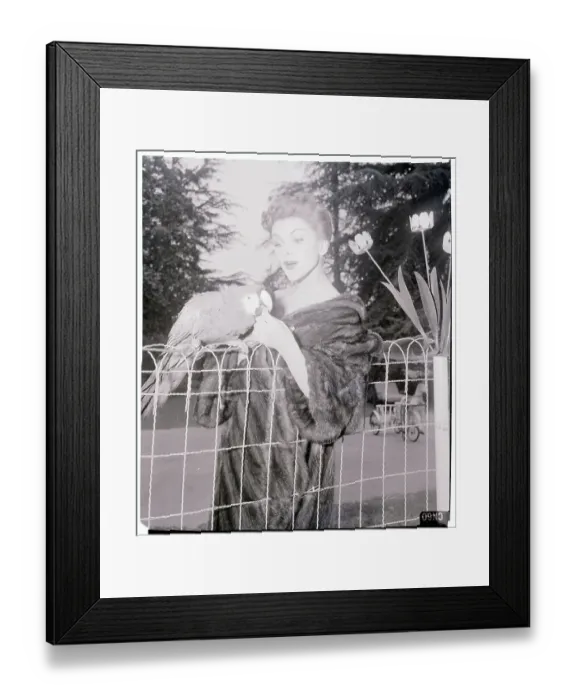 Framed Print : Debra Paget Playing with Her Parrot Framed Print : Debra Paget Playing with Her Parrot