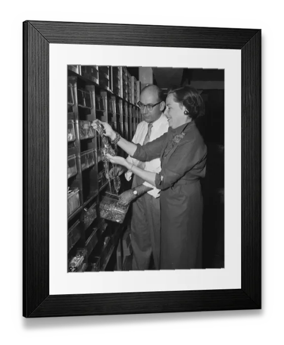 Framed Print : Woman Shopping for Wholesale Jewelry Framed Print : Woman Shopping for Wholesale Jewelry
