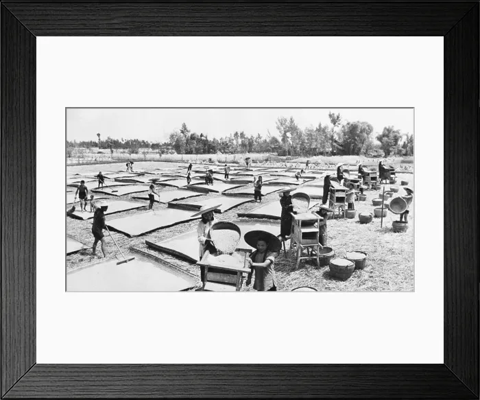 Framed Print : Rice Field In Western China