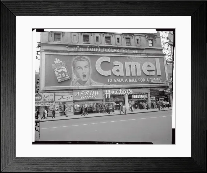 Framed Print : Camel Sign Framed Print : Camel Sign