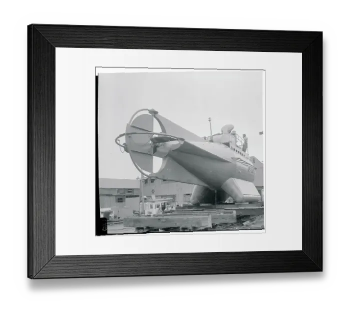 Framed Print : View of the Cetacean Framed Print : View of the Cetacean