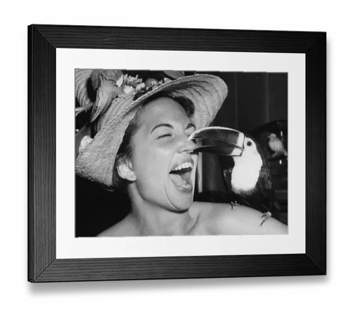 Framed Print : Toucan Says Hello Framed Print : Toucan Says Hello