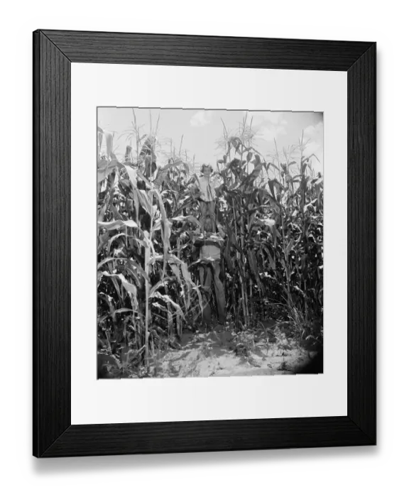 Framed Print : Father and Daughter Posing in Crop Field