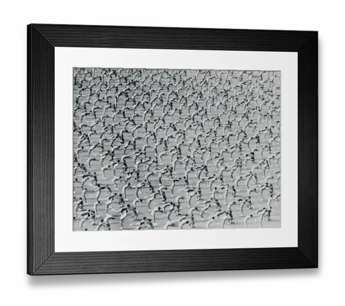 Framed Print : Dancers in Exquisite Formation Framed Print : Dancers in Exquisite Formation