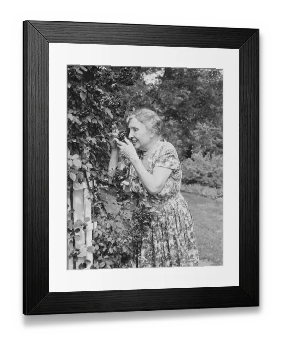 Framed Print : Writer Helen Keller Smelling Roses