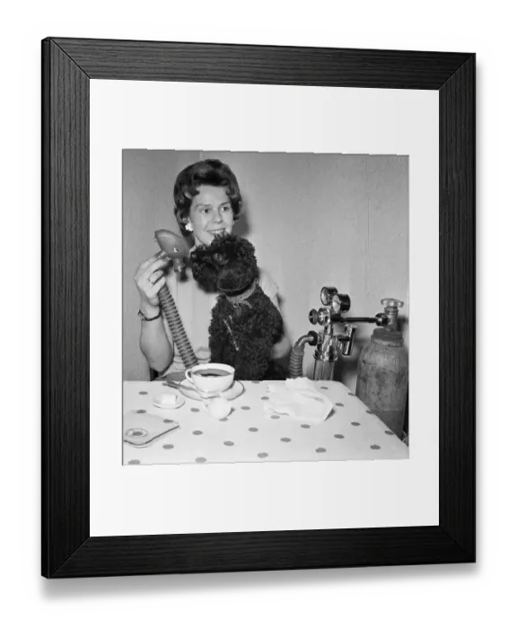 Framed Print : Poodle Gets Oxygen Shower By Attendant Framed Print : Poodle Gets Oxygen Shower By Attendant