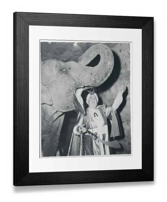 Framed Print : Opera Singer Alongside Elephant
