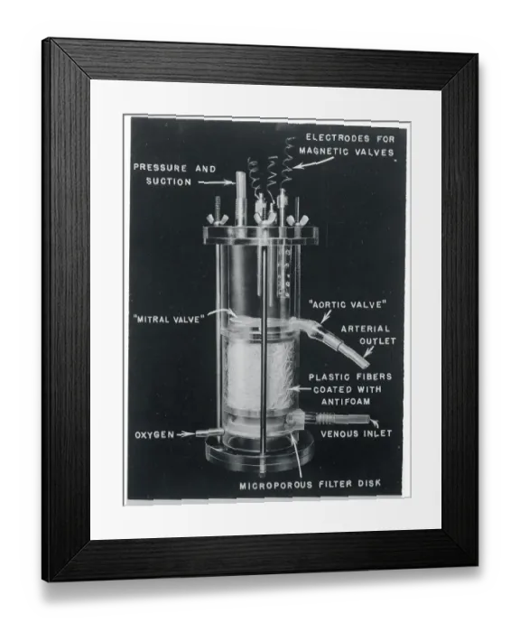Framed Print : Illustration of Oxygen Pump Framed Print : Illustration of Oxygen Pump