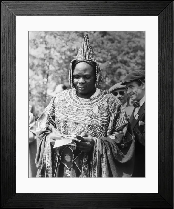 Framed Print : Fon Of Bali Looking Over Racing Form Framed Print : Fon Of Bali Looking Over Racing Form
