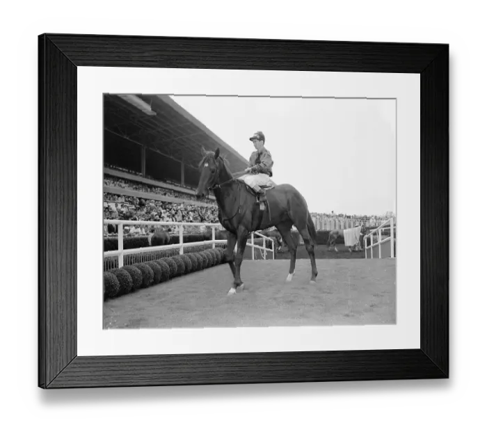 Framed Print : Willie Shoemaker on Swaps at Track Framed Print : Willie Shoemaker on Swaps at Track