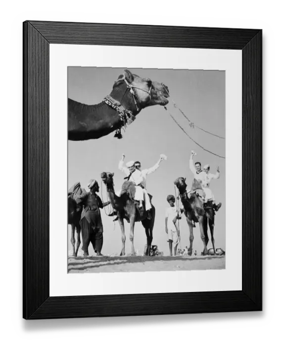 Framed Print : Sailors Riding Camels