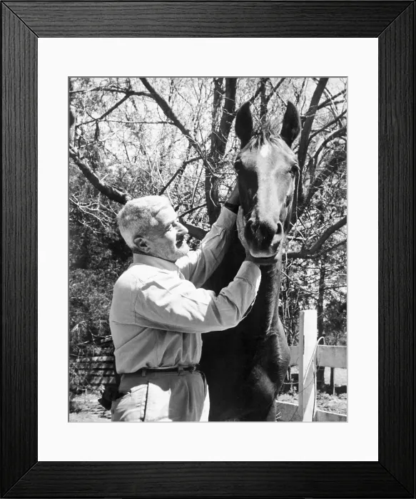 Framed Print : William Faulkner Petting Horse Framed Print : William Faulkner Petting Horse