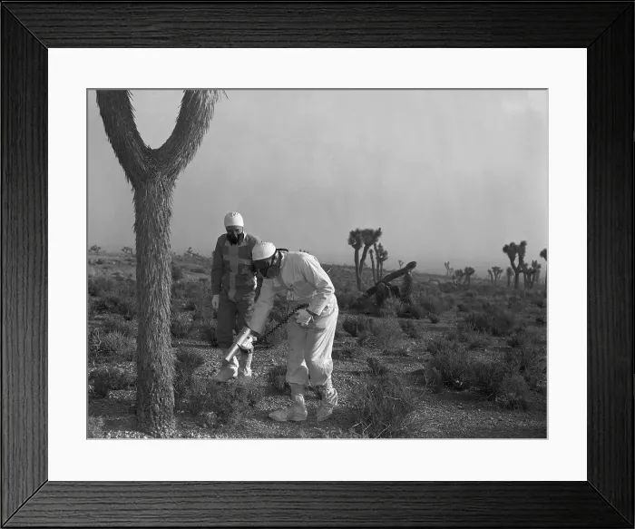 Framed Print : Civilians Searching Radiation Aftermath Framed Print : Civilians Searching Radiation Aftermath