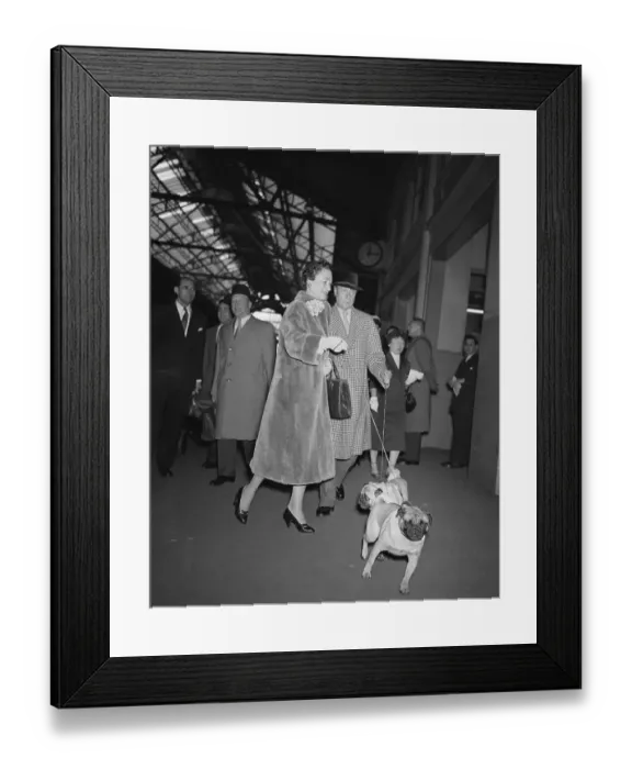 Framed Print : Duke and Duchess of Windsor Walking Their Dogs Framed Print : Duke and Duchess of Windsor Walking Their Dogs