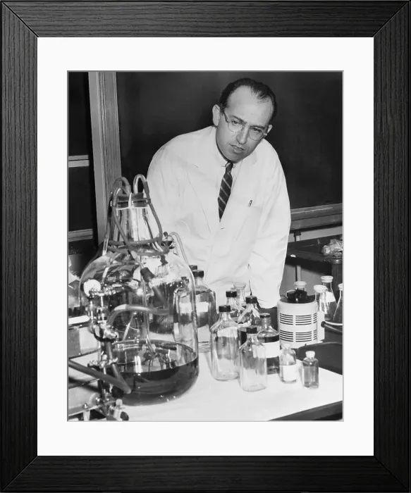 Framed Print : Dr. Jonas Salk in His Laboratory Framed Print : Dr. Jonas Salk in His Laboratory