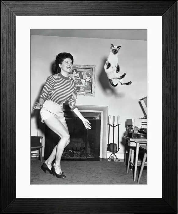 Framed Print : Woman Dancing with Her Cat Framed Print : Woman Dancing with Her Cat