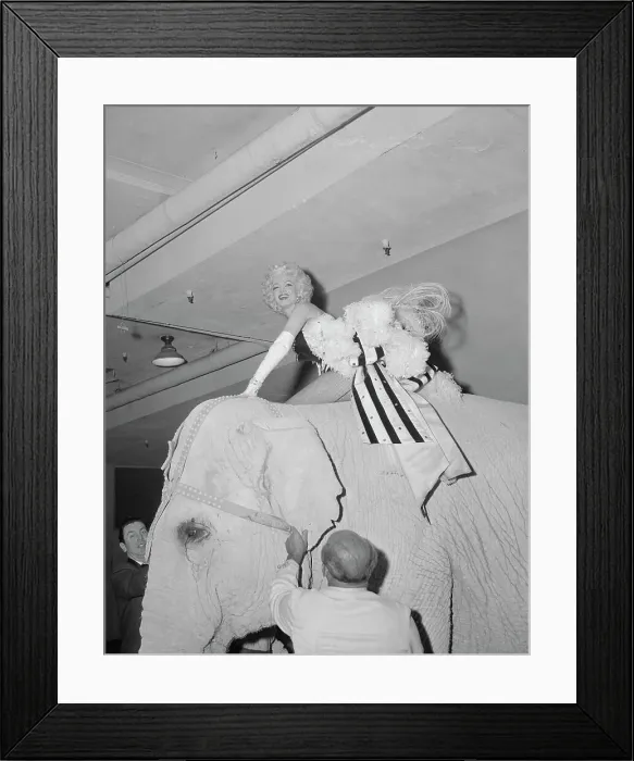 Framed Print : Marilyn Monroe Riding Elephant