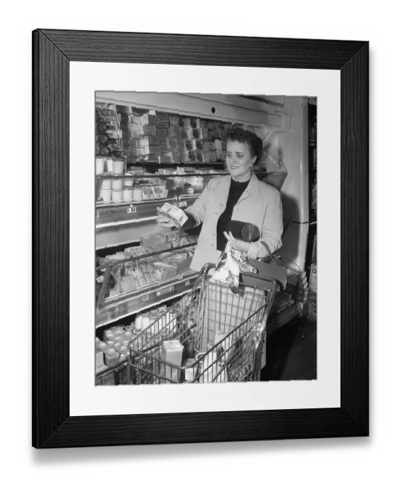 Framed Print : Coya Knutson Grocery Shopping Framed Print : Coya Knutson Grocery Shopping