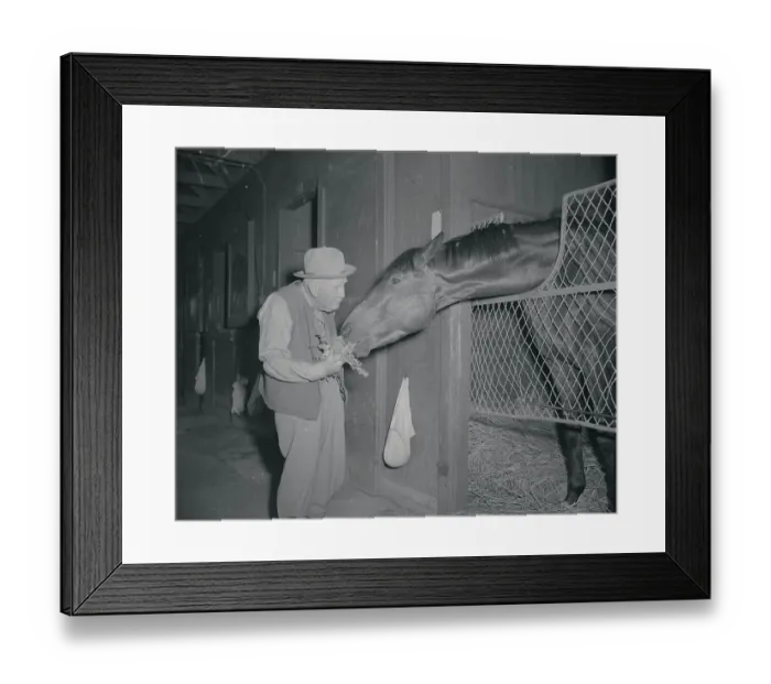 Framed Print : Yum!. Trainer Sunny Jim Fitzsimmons, 80-year-old dean of the horse-conditioners Framed Print : Yum!. Trainer Sunny Jim Fitzsimmons, 80-year-old dean of the horse-conditioners