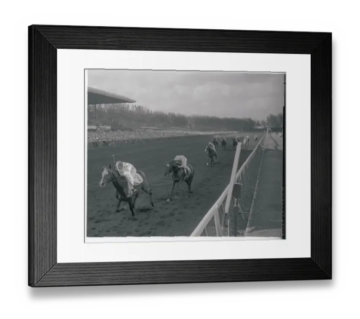 Framed Print : Nashua Wins Flamingo