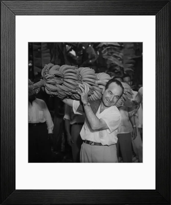 Framed Print : Jose Figueres Carrying Bananas Framed Print : Jose Figueres Carrying Bananas