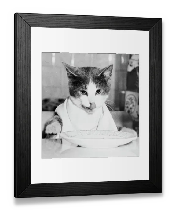 Framed Print : Cat Waiting to Eat Framed Print : Cat Waiting to Eat