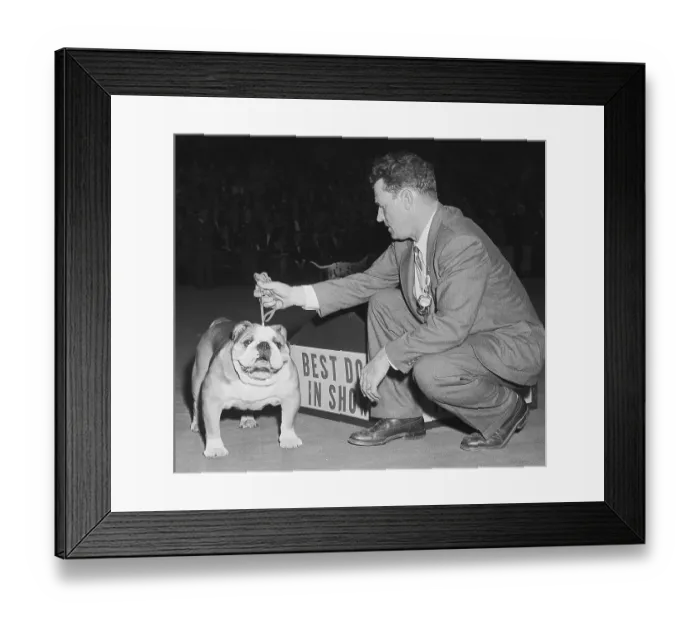 Framed Print : Westminster Winner and Harry Sangster