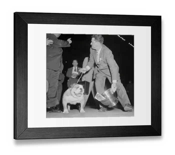 Framed Print : Westminster Winner and Harry Sangster Framed Print : Westminster Winner and Harry Sangster